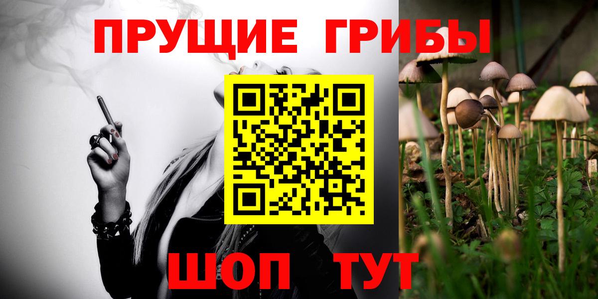 Галлюциногенные грибы мицелий Великий Новгород