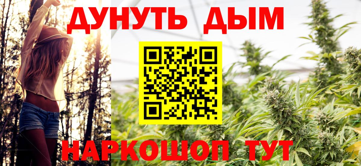 Бошки марихуана план Великий Новгород